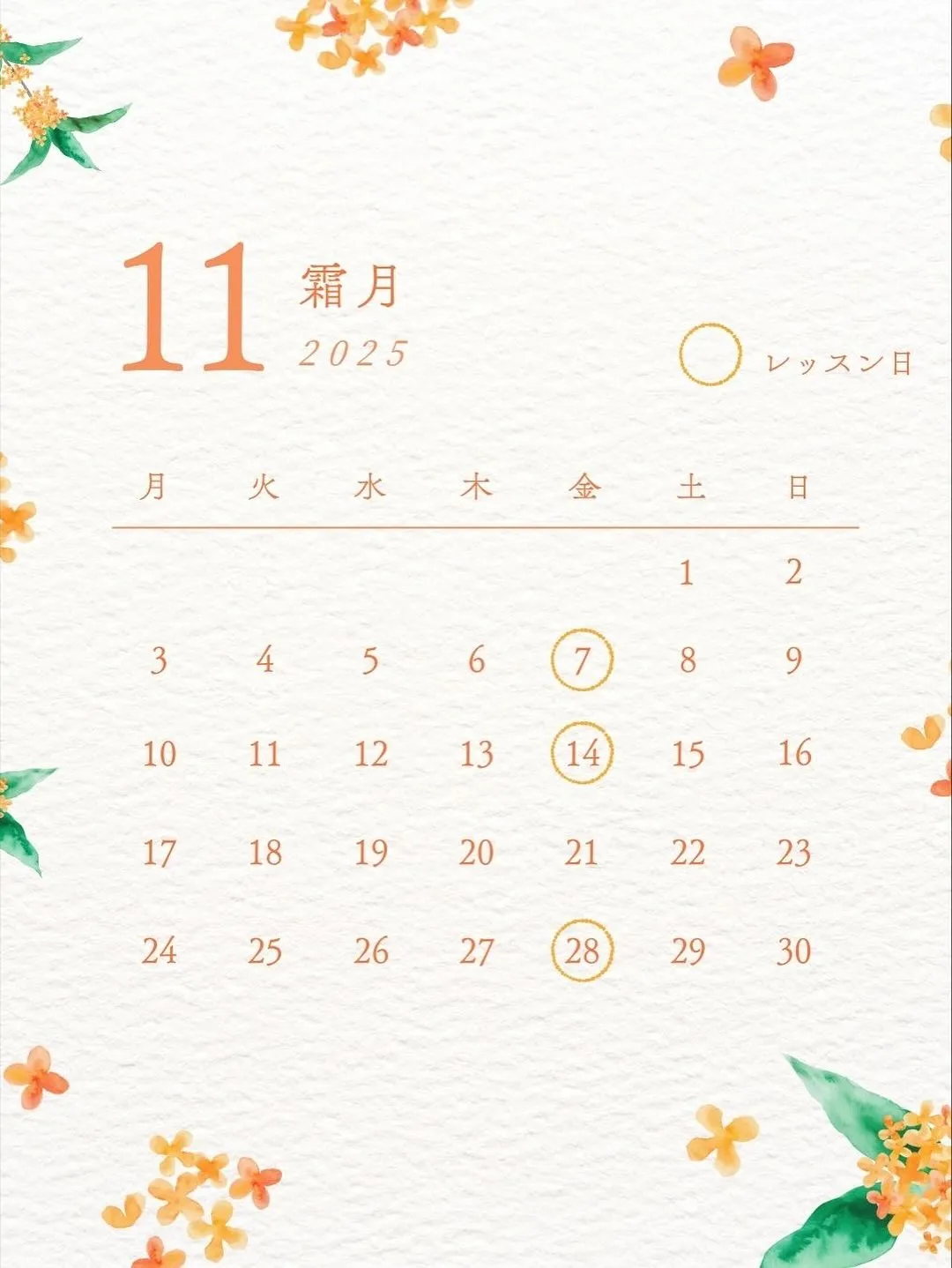 ジムナススポーツクラブ 材木校🤸