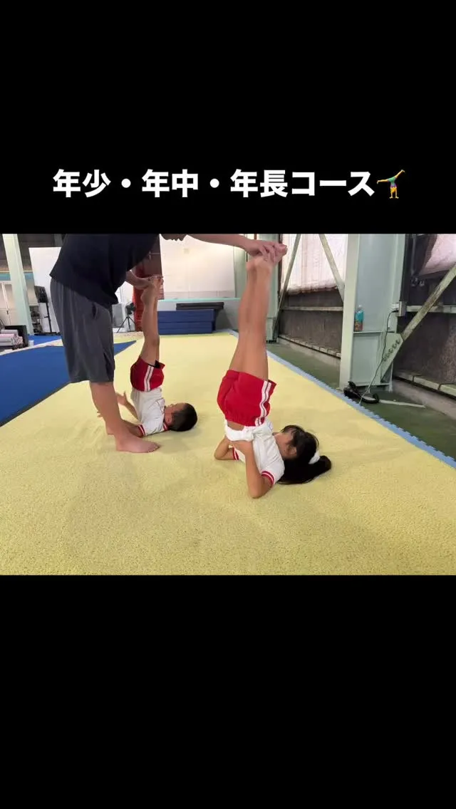 ✨【年少～年長 幼児コース 会員募集中！】✨